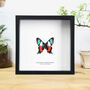 The Living Treasure Butterfly Handcrafted Frame, thumbnail 1 of 3