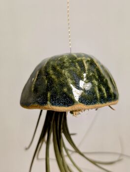 Ceramic Shell Jellyfish Air Plant Gift For Plant Lover, 10 of 12