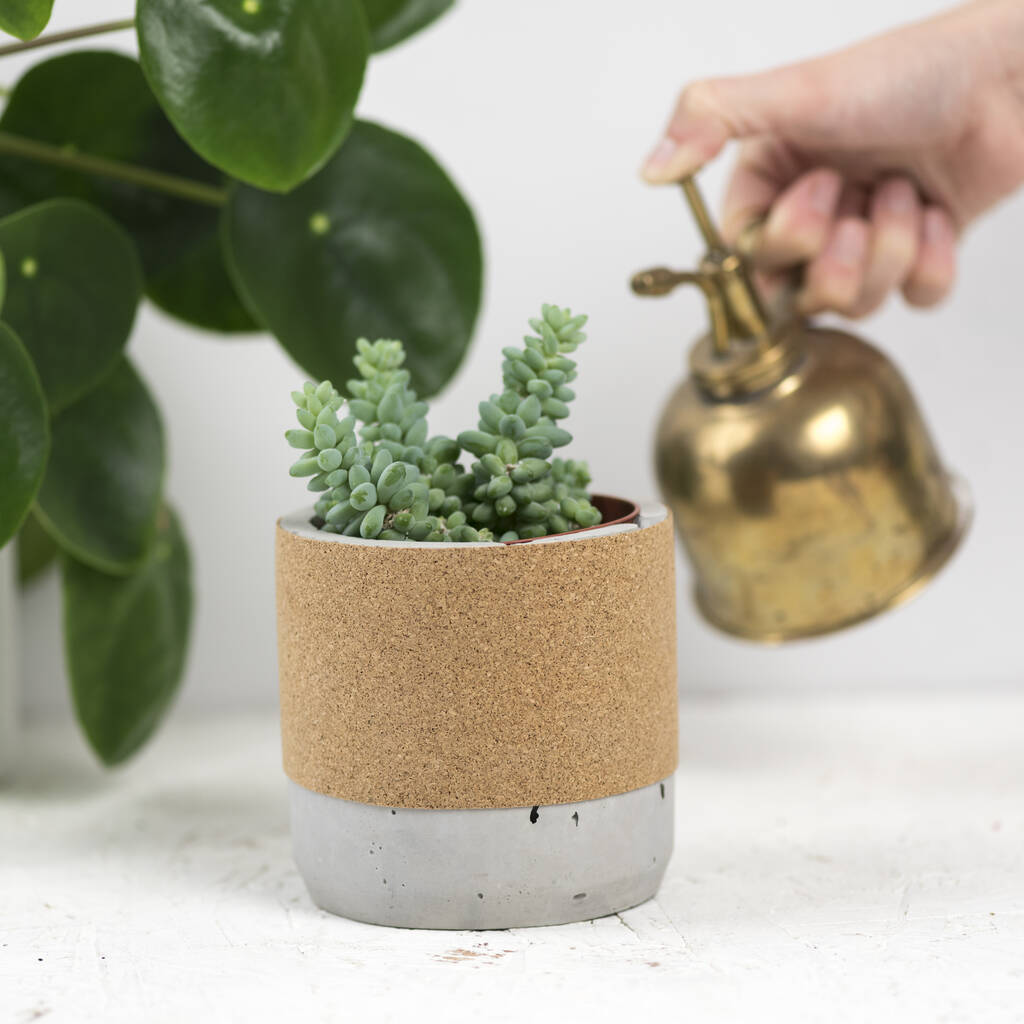 Concrete And Cork Planter By Bells and Whistles Make ...