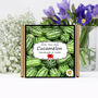 Grow Your Own Cucamelon Plant. Salad Growing Kit, thumbnail 1 of 4