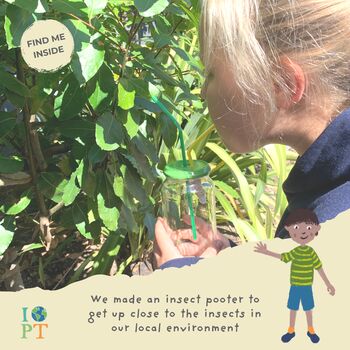 Children's Eco Activity Box: Incredible Insects, 8 of 12