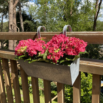Pair Of Zesty Zinc Balcony Flower And Herb Planters, 3 of 6