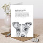 Funny Jack Russell Illustration Card For Dog Lovers, thumbnail 1 of 6
