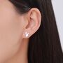 Cute Squirrel Stud Earrings In Sterling Silver, thumbnail 6 of 12