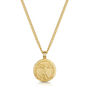 Vitruvian Man Necklace 18 K Gold Plated Steel, thumbnail 1 of 6