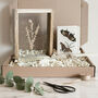 Luxury Botanical Dried Flower And Home Christmas Gift Set, thumbnail 1 of 8