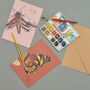 Pack Of Eight Greeting Cards Of British Insects, thumbnail 7 of 9