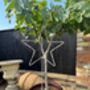 Pair Of Garden Stars On Spikes, thumbnail 2 of 6