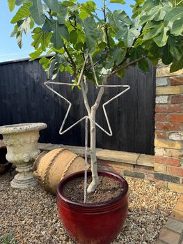 Pair Of Garden Stars On Spikes, 2 of 6