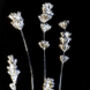 Collection Of Three Monochrome Dried Flower Art Prints, thumbnail 2 of 9