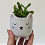 Plant Your Own Succulent Kit With Cat Pot, thumbnail 5 of 5