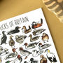 Ducks Of Britain Watercolour Postcard, thumbnail 11 of 12