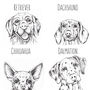 Personalised Ink Drawing Pet Portrait, thumbnail 5 of 7