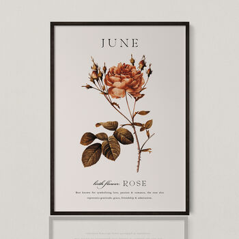 Birth Flower Wall Print 'Rose' For June, 3 of 9