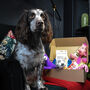 Toy Box Luxury Dog Hamper, thumbnail 3 of 3