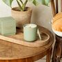 Citrus Forest – Natural Soy Candle 320g, thumbnail 1 of 4