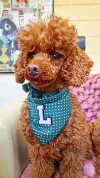 Personalised Polka Dot Dog Tie On Bandana Red Or Green, 7 of 12