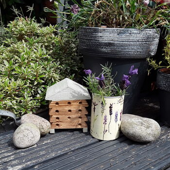Purple Petals Miniature Bee House Garden Gift Box, 3 of 7