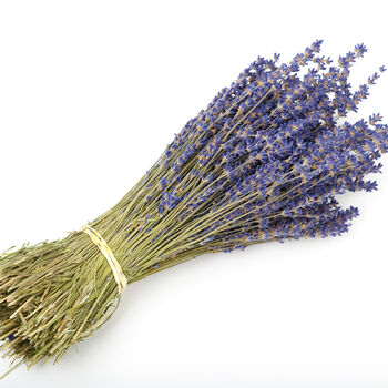 Dried Lavender Bunch, 2 of 10