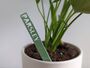 Personalized Plant Marker Garden Laser Acrylic Outdoor, thumbnail 1 of 9