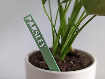 Personalized Plant Marker Garden Laser Acrylic Outdoor, 2 of 10