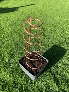 Spiral Copper Plant Pot Trellis, 8 of 8