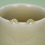Sterling Silver Lime Slice Stud Earrings, thumbnail 1 of 11