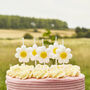 Daisy Birthday Candles Five Pack, thumbnail 1 of 2