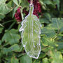 Personalised Feather Mirror Remembrance Keepsake, thumbnail 2 of 2