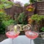 Yorkshire Rhubarb And Sweet Cicely Flavoured Gin, thumbnail 2 of 6