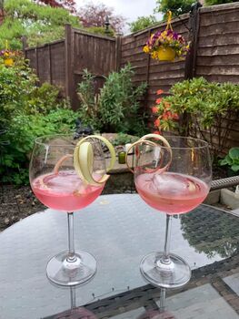 Yorkshire Rhubarb And Sweet Cicely Flavoured Gin, 2 of 6