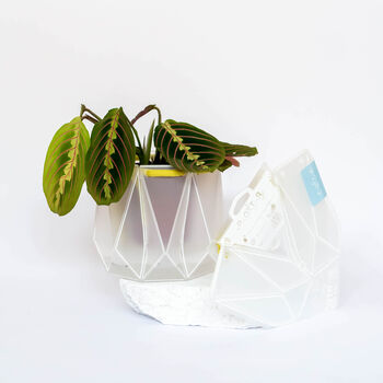 Origami Self Watering Eco Plant Pot: 15cm | Celery Cord, 4 of 9