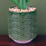 23cm Artificial Cactus Plant Potted In Green Planter, thumbnail 2 of 3
