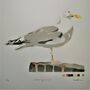'Herring Gull' Original Stencil Edition, thumbnail 7 of 10