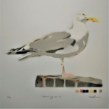 'Herring Gull' Original Stencil Edition, 7 of 10