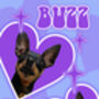 Custom Pet Dog Cat Portrait Groovy Print, thumbnail 5 of 5