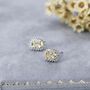 Sterling Silver Genuine Citrine Crystal Stud Earrings, thumbnail 3 of 11