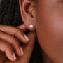 Sterling Silver White Freshwater Pearl Stud Earrings – 5mm, thumbnail 1 of 8