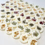 Handmade Botanical Wax Melt Gift Set, thumbnail 3 of 3