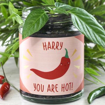 Personalised Hot Chilli Jar Grow Kit, 7 of 12