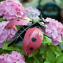 Build Your Own Personalised Ladybird Kit, thumbnail 1 of 12