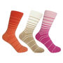 Retro Stripe Women’s Socks – Bundle, thumbnail 1 of 7
