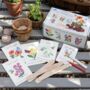 Flower Growing Kit For Bees And Butterflys, thumbnail 1 of 2