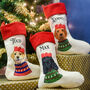 Personalised Party Dog Christmas Present Stocking, thumbnail 12 of 12