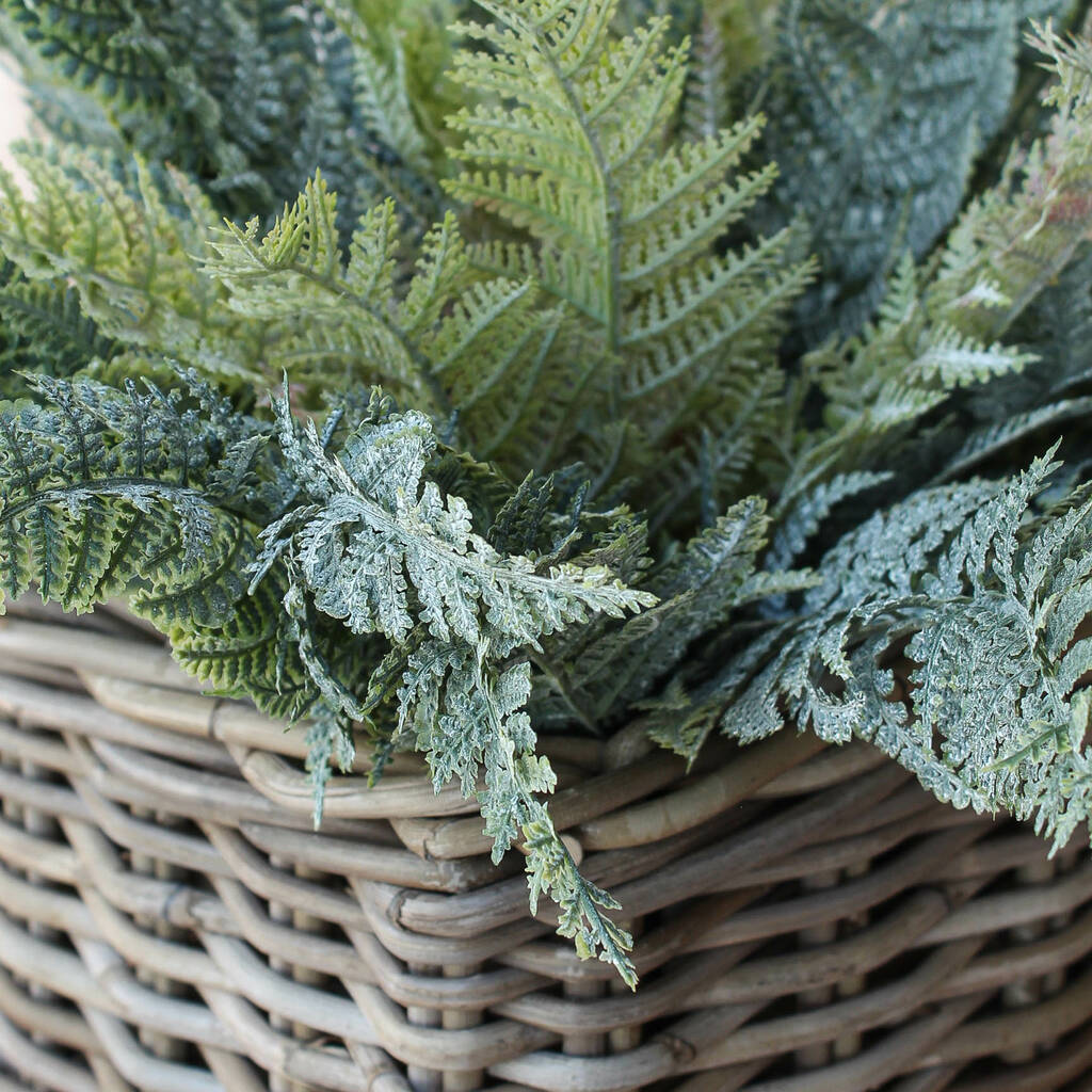 artificial winter fern plant by marquis &amp; dawe | notonthehighstreet.com