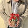 Belgian Chocolate Smash Flower Pot Red, thumbnail 2 of 8