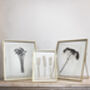 Set Of Two: Pressed Flower Frames, thumbnail 4 of 8