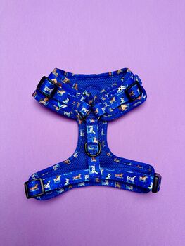 Skateboarding Dogs Adjustable Padded Dog Harness, 6 of 6