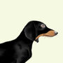 Sausage Dog Birthday Card, thumbnail 3 of 3