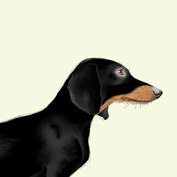 Sausage Dog Birthday Card, 3 of 3